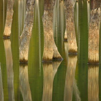 Parcul Natural Vânători - Neamț